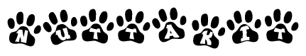 The image shows a series of animal paw prints arranged in a horizontal line. Each paw print contains a letter, and together they spell out the word Nuttakit.
