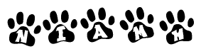 The image shows a series of animal paw prints arranged horizontally. Within each paw print, there's a letter; together they spell Niamh