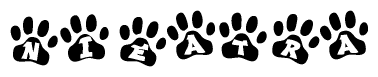 The image shows a series of animal paw prints arranged in a horizontal line. Each paw print contains a letter, and together they spell out the word Nieatra.
