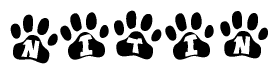The image shows a series of animal paw prints arranged in a horizontal line. Each paw print contains a letter, and together they spell out the word Nitin.
