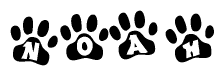 The image shows a row of animal paw prints, each containing a letter. The letters spell out the word Noah within the paw prints.
