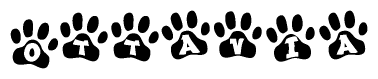 The image shows a row of animal paw prints, each containing a letter. The letters spell out the word Ottavia within the paw prints.