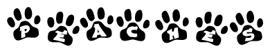 The image shows a series of animal paw prints arranged in a horizontal line. Each paw print contains a letter, and together they spell out the word Peaches.
