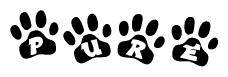 The image shows a series of animal paw prints arranged in a horizontal line. Each paw print contains a letter, and together they spell out the word Pure.
