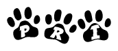 The image shows a series of animal paw prints arranged horizontally. Within each paw print, there's a letter; together they spell Pri