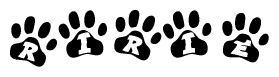 The image shows a row of animal paw prints, each containing a letter. The letters spell out the word Ririe within the paw prints.