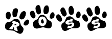 The image shows a row of animal paw prints, each containing a letter. The letters spell out the word Ross within the paw prints.