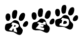 The image shows a series of animal paw prints arranged horizontally. Within each paw print, there's a letter; together they spell Red