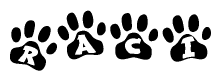 The image shows a series of animal paw prints arranged in a horizontal line. Each paw print contains a letter, and together they spell out the word Raci.