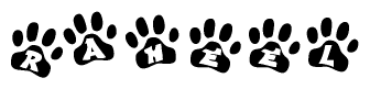 The image shows a series of animal paw prints arranged horizontally. Within each paw print, there's a letter; together they spell Raheel