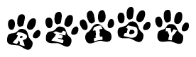 The image shows a series of animal paw prints arranged horizontally. Within each paw print, there's a letter; together they spell Reidy