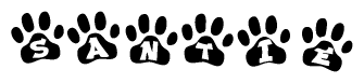 The image shows a series of animal paw prints arranged horizontally. Within each paw print, there's a letter; together they spell Santie