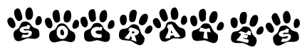 The image shows a series of animal paw prints arranged horizontally. Within each paw print, there's a letter; together they spell Socrates