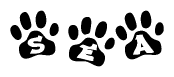 The image shows a series of animal paw prints arranged in a horizontal line. Each paw print contains a letter, and together they spell out the word Sea.