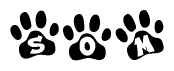The image shows a series of animal paw prints arranged in a horizontal line. Each paw print contains a letter, and together they spell out the word Som.