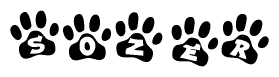 The image shows a series of animal paw prints arranged horizontally. Within each paw print, there's a letter; together they spell Sozer