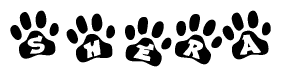 The image shows a row of animal paw prints, each containing a letter. The letters spell out the word Shera within the paw prints.
