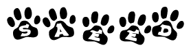 The image shows a row of animal paw prints, each containing a letter. The letters spell out the word Saeed within the paw prints.