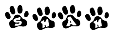 The image shows a series of animal paw prints arranged in a horizontal line. Each paw print contains a letter, and together they spell out the word Shah.