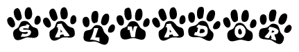 The image shows a series of animal paw prints arranged in a horizontal line. Each paw print contains a letter, and together they spell out the word Salvador.