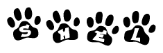 The image shows a row of animal paw prints, each containing a letter. The letters spell out the word Shel within the paw prints.