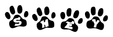 The image shows a row of animal paw prints, each containing a letter. The letters spell out the word Shey within the paw prints.