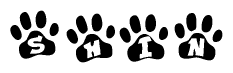 The image shows a series of animal paw prints arranged in a horizontal line. Each paw print contains a letter, and together they spell out the word Shin.