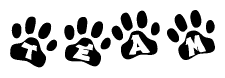 The image shows a row of animal paw prints, each containing a letter. The letters spell out the word Team within the paw prints.