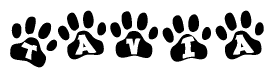The image shows a series of animal paw prints arranged horizontally. Within each paw print, there's a letter; together they spell Tavia