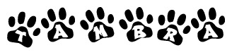 The image shows a row of animal paw prints, each containing a letter. The letters spell out the word Tambra within the paw prints.