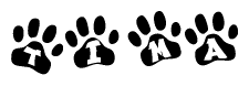 The image shows a row of animal paw prints, each containing a letter. The letters spell out the word Tima within the paw prints.