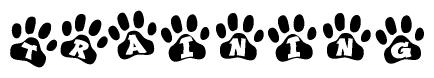 The image shows a series of animal paw prints arranged in a horizontal line. Each paw print contains a letter, and together they spell out the word Training.