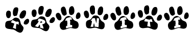 The image shows a series of animal paw prints arranged horizontally. Within each paw print, there's a letter; together they spell Triniti