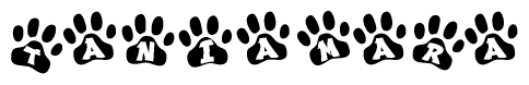 The image shows a row of animal paw prints, each containing a letter. The letters spell out the word Taniamara within the paw prints.