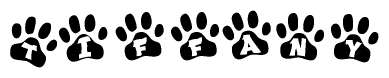 The image shows a series of animal paw prints arranged in a horizontal line. Each paw print contains a letter, and together they spell out the word Tiffany.