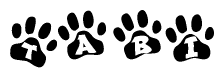 The image shows a series of animal paw prints arranged in a horizontal line. Each paw print contains a letter, and together they spell out the word Tabi.