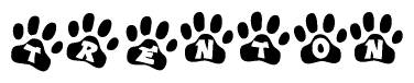 The image shows a series of animal paw prints arranged in a horizontal line. Each paw print contains a letter, and together they spell out the word Trenton.