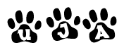 The image shows a series of animal paw prints arranged horizontally. Within each paw print, there's a letter; together they spell Uja