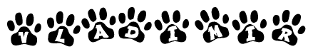 The image shows a series of animal paw prints arranged in a horizontal line. Each paw print contains a letter, and together they spell out the word Vladimir.