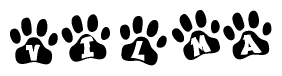 The image shows a row of animal paw prints, each containing a letter. The letters spell out the word Vilma within the paw prints.