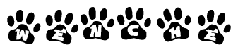 The image shows a series of animal paw prints arranged in a horizontal line. Each paw print contains a letter, and together they spell out the word Wenche.