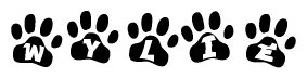 The image shows a series of animal paw prints arranged horizontally. Within each paw print, there's a letter; together they spell Wylie