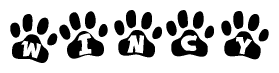 The image shows a series of animal paw prints arranged in a horizontal line. Each paw print contains a letter, and together they spell out the word Wincy.