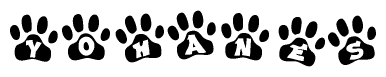 The image shows a series of animal paw prints arranged in a horizontal line. Each paw print contains a letter, and together they spell out the word Yohanes.