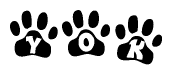 The image shows a series of animal paw prints arranged in a horizontal line. Each paw print contains a letter, and together they spell out the word Yok.