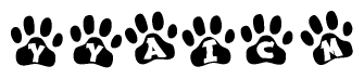 The image shows a series of animal paw prints arranged horizontally. Within each paw print, there's a letter; together they spell Yyaicm