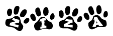 The image shows a row of animal paw prints, each containing a letter. The letters spell out the word Ziza within the paw prints.
