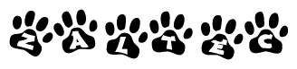 The image shows a series of animal paw prints arranged in a horizontal line. Each paw print contains a letter, and together they spell out the word Zaltec.
