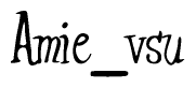 The image is of the word Amie vsu stylized in a cursive script.