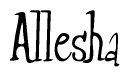 The image contains the word 'Allesha' written in a cursive, stylized font.